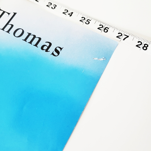 Vintage 90s JTT Jonathan Taylor Thomas Pinocchio DVD/VHS Movie Wall Poster - Picture 7 of 15